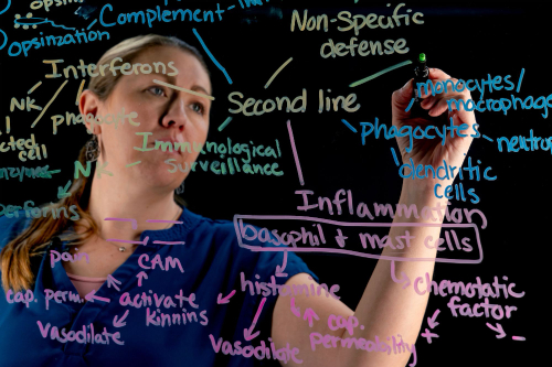 woman writing on a blackboard with a marker and a marker
