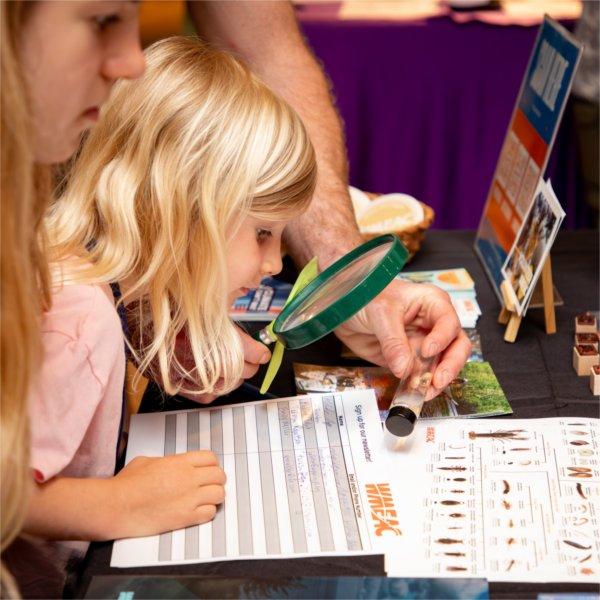 A student magnifies and examines a macroinvertebrate at the WMEAC booth during the Groundswell Stewardship Initiative student project showcase on the Pew Grand Rapids Campus May 14.