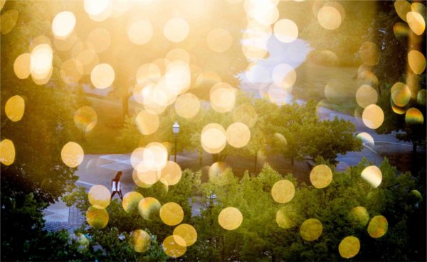  A college student walks to class among sparkling raindrops from the sunrise. 